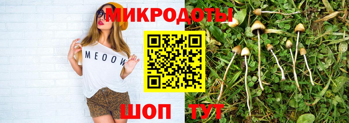Галлюциногенные грибы Psilocybe  Вход с VPN  Волжский  Псилоцибиновые грибы мухоморы 