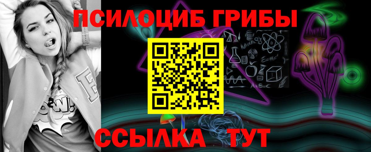 Галлюциногенные грибы Psilocybine cubensis  Волжский 